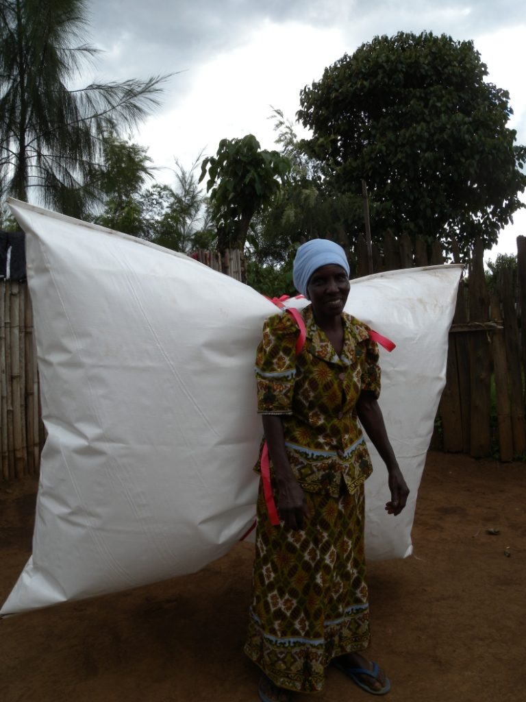 Biogas in Afrika Focus online und Rothschenk informieren