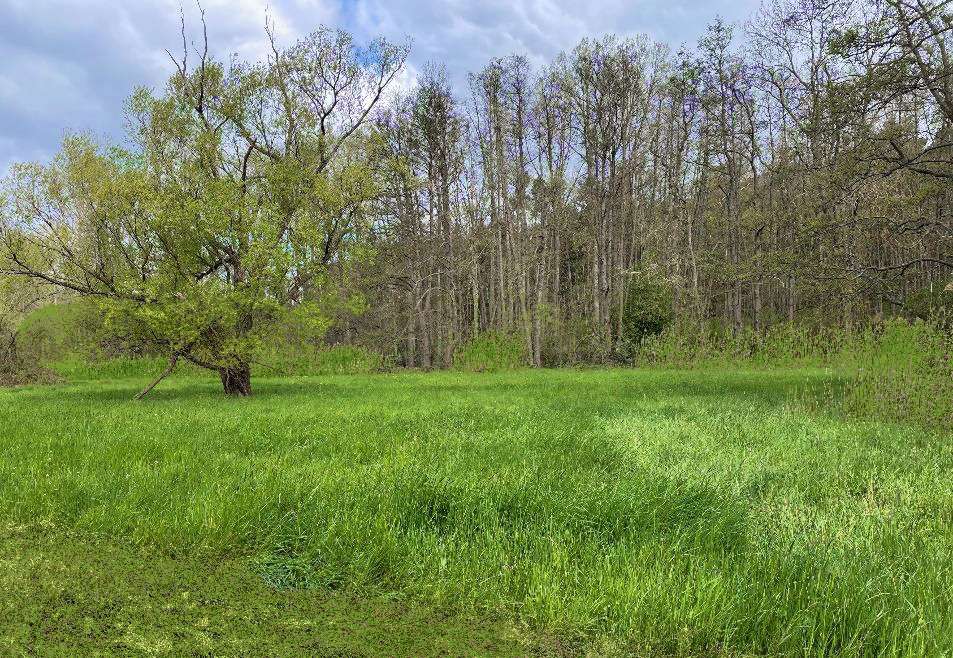 natuurbeschermingsproject-rothschenk-sulzbach-arche-noah